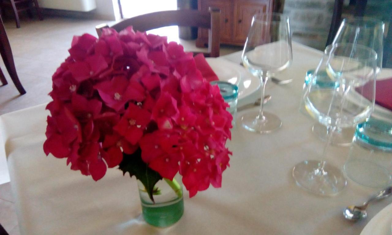Agriturismo Nizur'In Roccaverano Zewnętrze zdjęcie